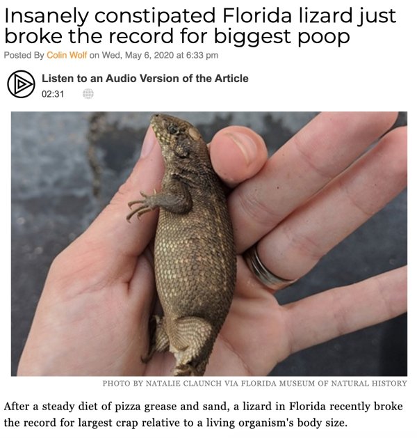 Hilarious Headlines (24 pics)