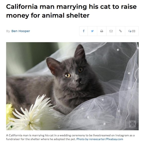 Hilarious Headlines (24 pics)