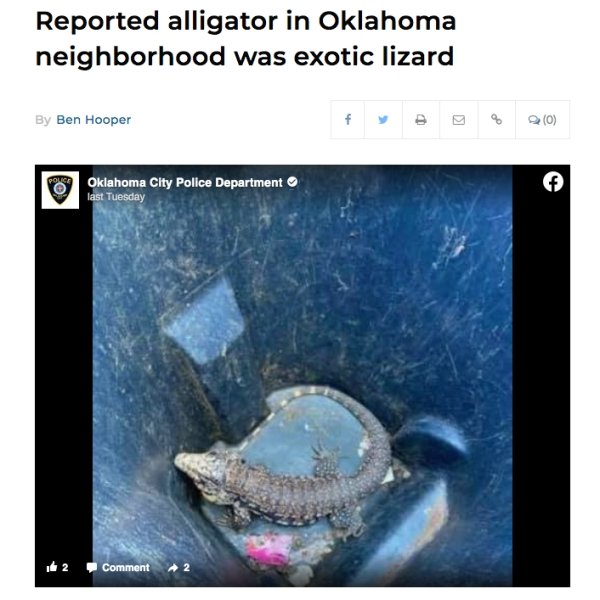 Hilarious Headlines (24 pics)