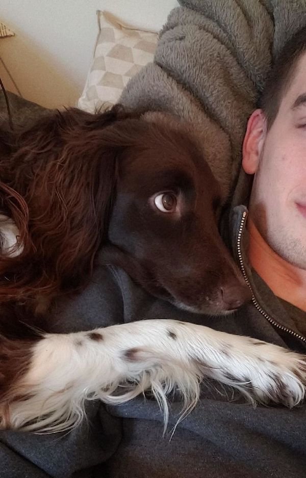 Pets Staring Into Their Owners (37 pics)