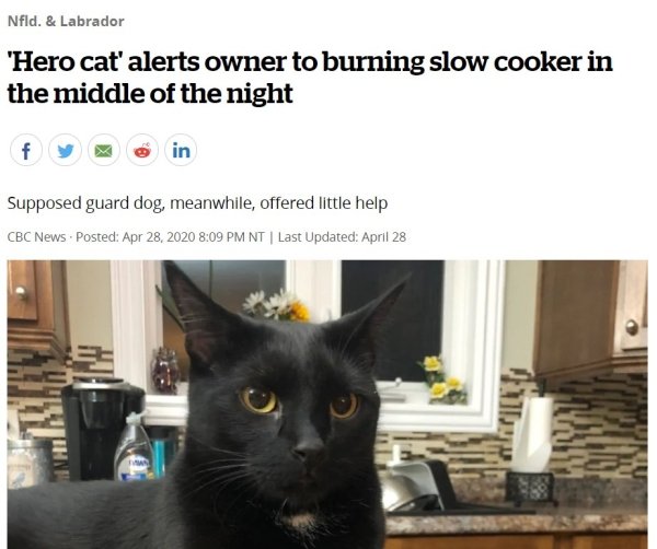 Hilarious Headlines (24 pics)