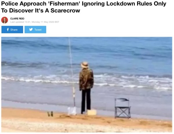 Hilarious Headlines (24 pics)