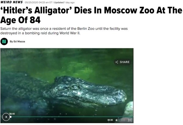Hilarious Headlines (24 pics)