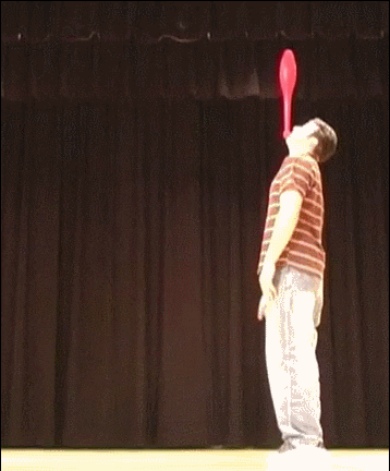 Wins (18 gifs)