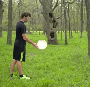 Wins (18 gifs)