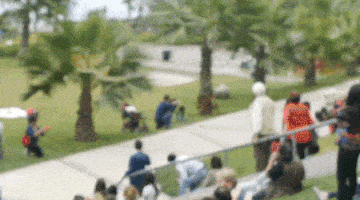 Wins (18 gifs)