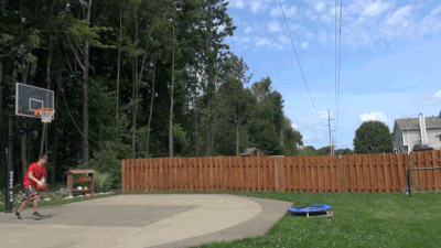 Wins (18 gifs)