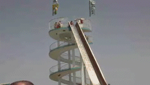 Wins (18 gifs)