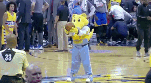 Wins (18 gifs)
