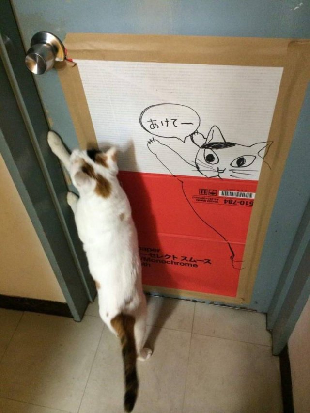 Acid Picdump. Part 1 (96 pics)