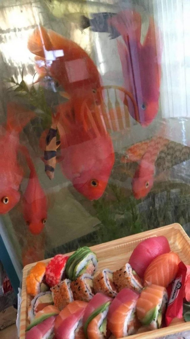 Acid Picdump. Part 1 (96 pics)
