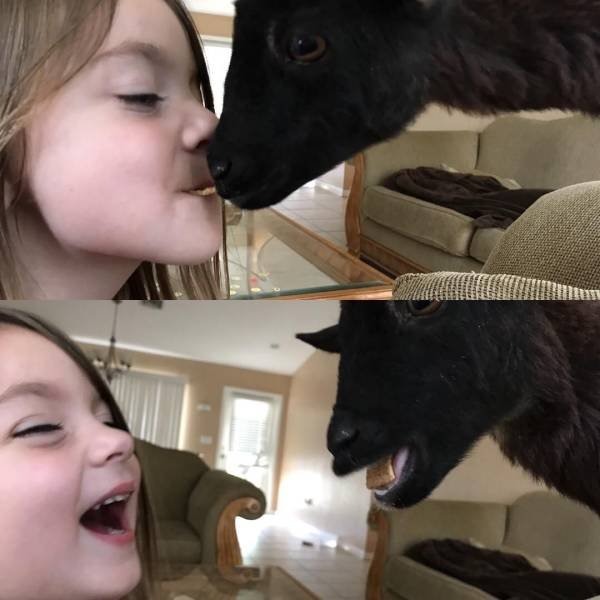 Acid Picdump. Part 1 (96 pics)