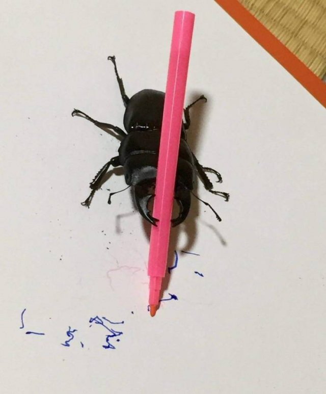 Acid Picdump. Part 1 (96 pics)