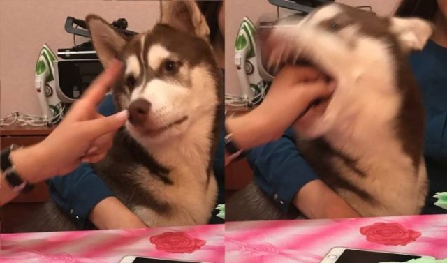 Acid Picdump. Part 1 (96 pics)