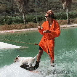 Acid Gifdump, May 27 (25 gifs)