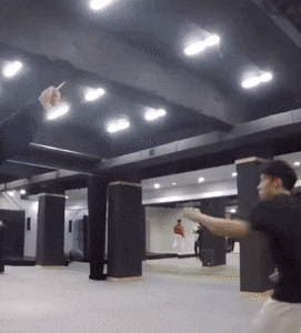 Acid Gifdump, May 27 (25 gifs)