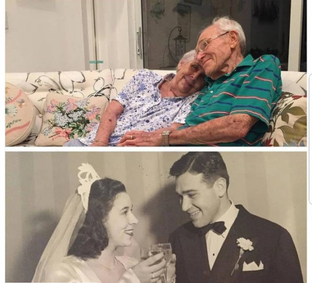 Wholesome Stories (17 pics) Wholesome Stories (17 pics)