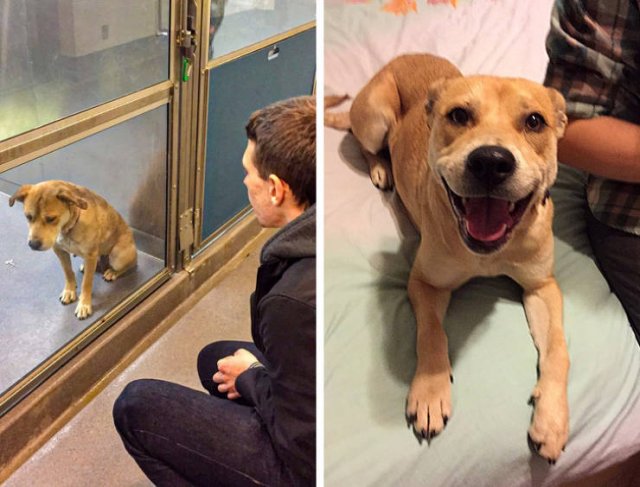 Wholesome Stories (17 pics) Wholesome Stories (17 pics)