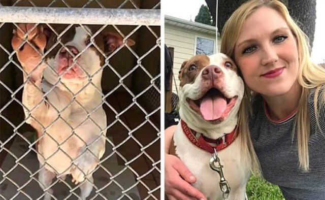 Wholesome Stories (17 pics) Wholesome Stories (17 pics)