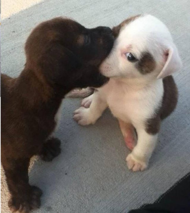 Good Mood Pictures (20 pics) Good Mood Pictures (20 pics)
