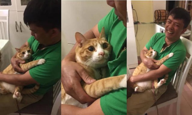 Wholesome Stories (17 pics) Wholesome Stories (17 pics)