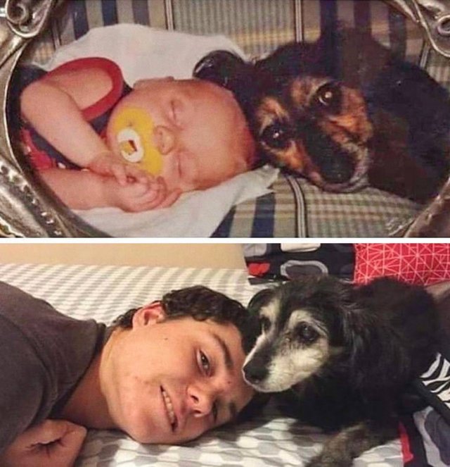 People Recreate Their Old Photos (20 pics) People Recreate Their Old Photos (20 pics)