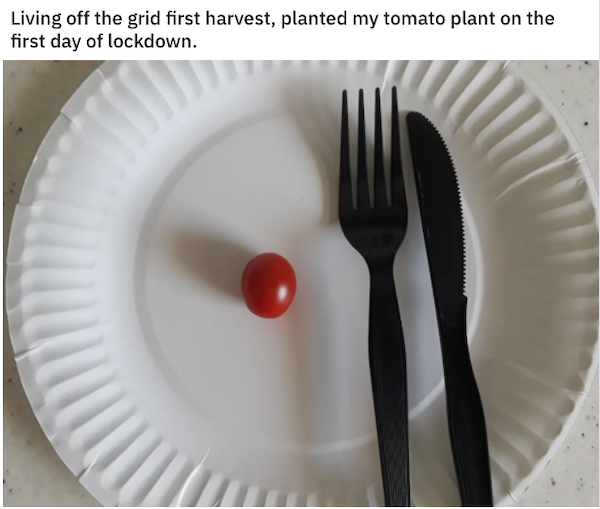 Quarantine Memes (33 pics)