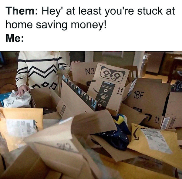 Quarantine Memes (33 pics)
