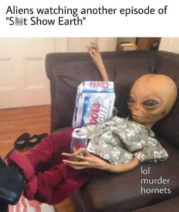 Quarantine Memes (33 pics)