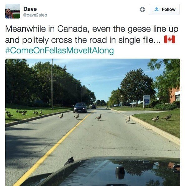 Only In Canada (24 pics)