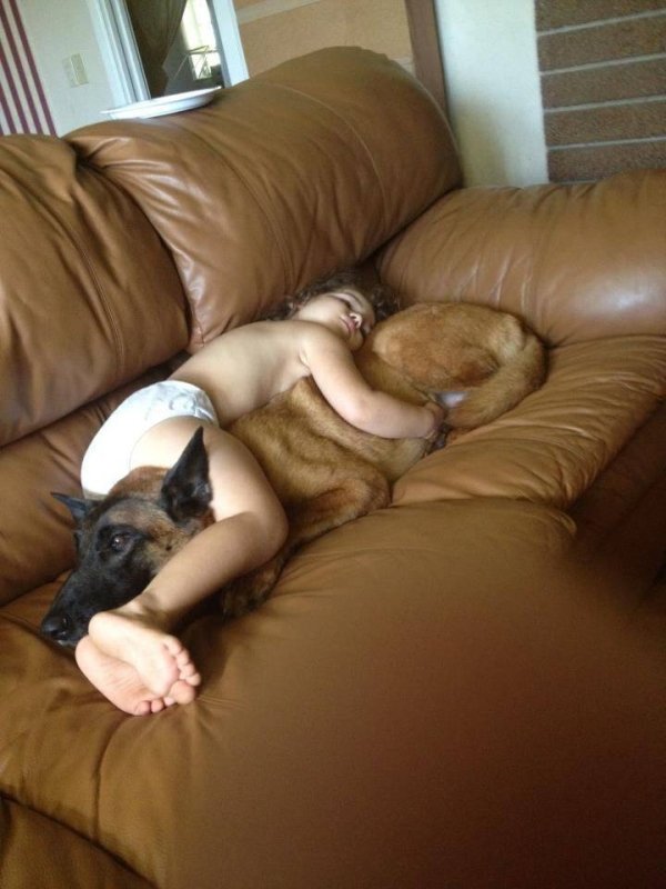 Funny Animals (61 pics)