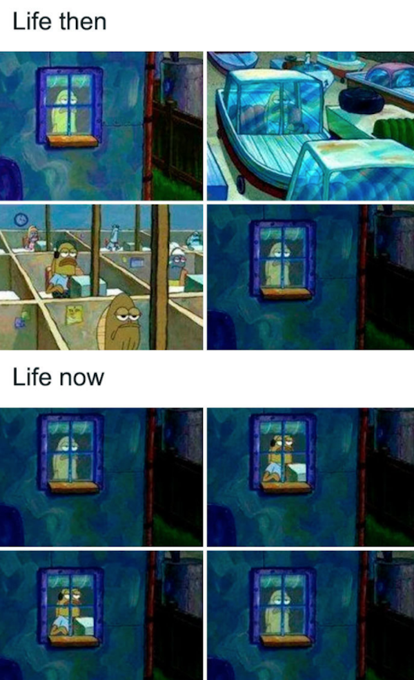 Quarantine Memes (33 pics)