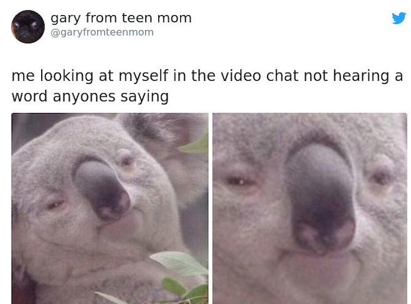 Quarantine Memes (33 pics)