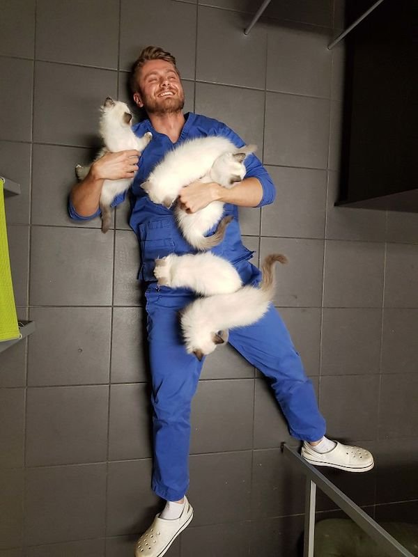 Cute Cats (39 pics)