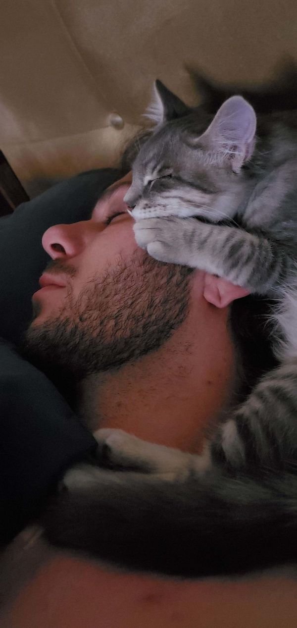 Cute Cats (39 pics)