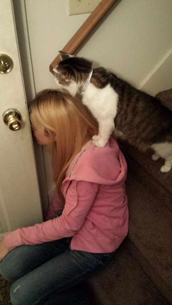 Cute Cats (39 pics)