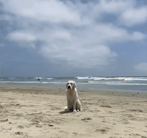 Acid Gifdump, May 29 (25 gifs)