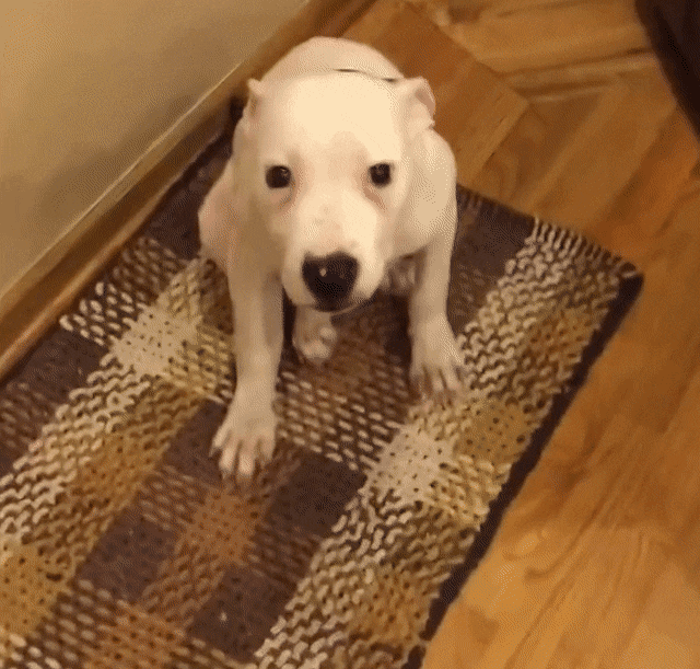 Acid Gifdump, May 29 (25 gifs)