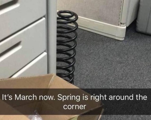 Funny Pictures (16 pics)