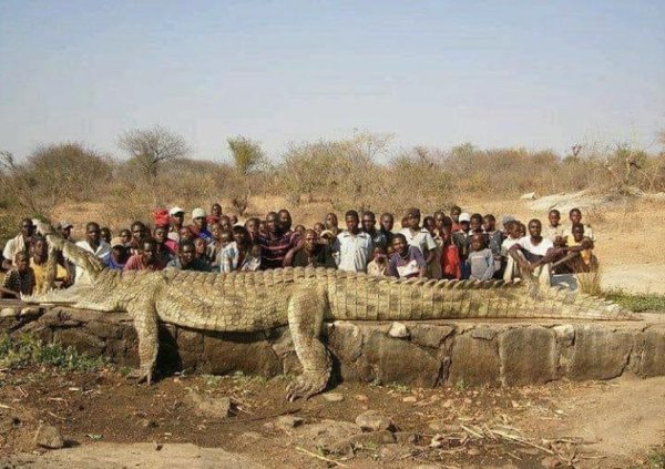 Comparison Matters (26 pics)