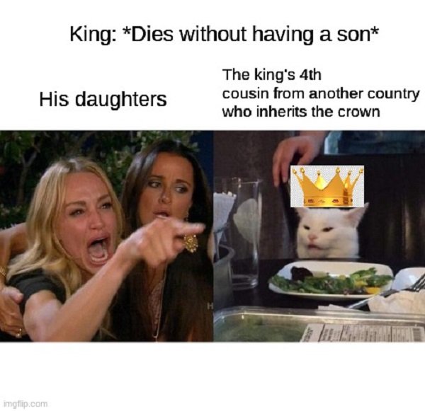 History Memes (29 pics)