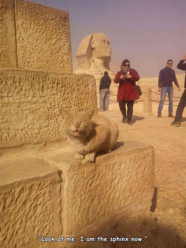 Acid Picdump. Part 1 (95 pics)