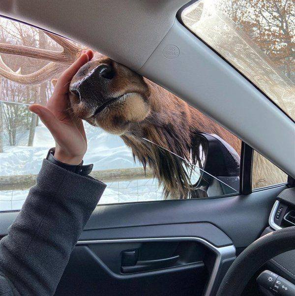 Acid Picdump. Part 1 (95 pics)