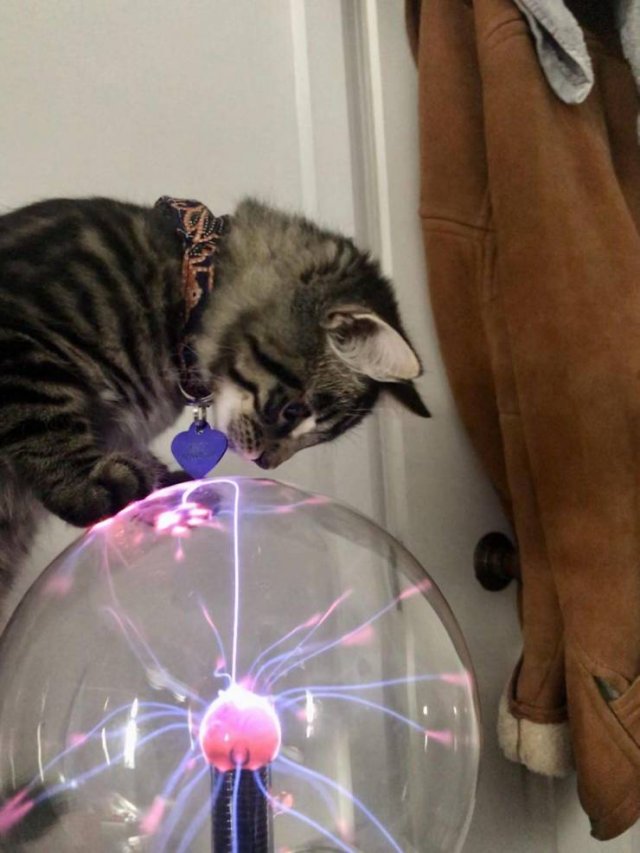 Acid Picdump. Part 1 (95 pics)