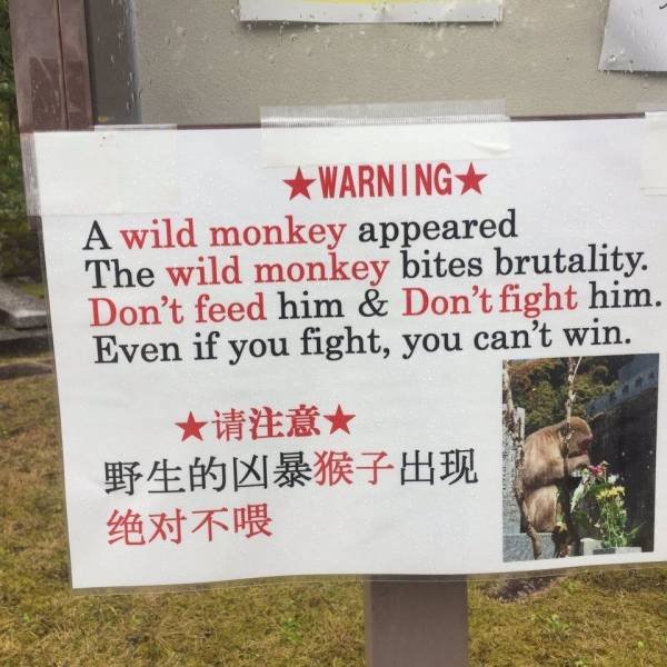 Acid Picdump. Part 1 (95 pics)