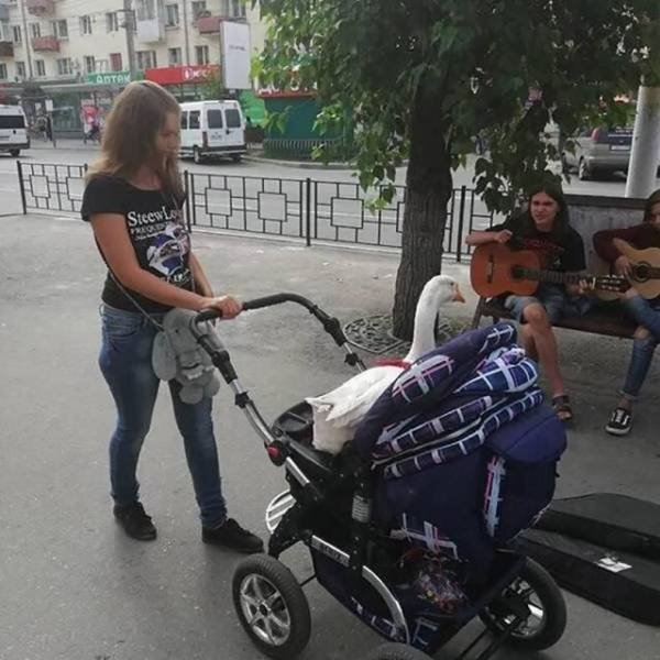 Acid Picdump. Part 1 (95 pics)