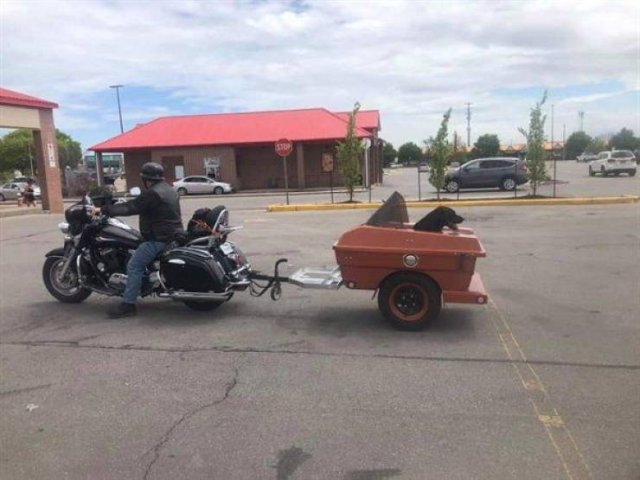 Acid Picdump. Part 1 (95 pics)