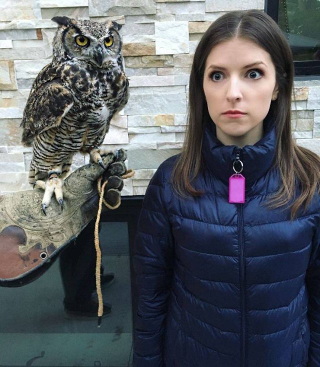 Acid Picdump. Part 1 (95 pics)