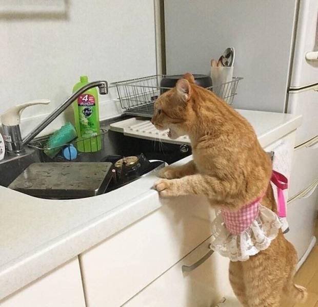Acid Picdump. Part 1 (95 pics)