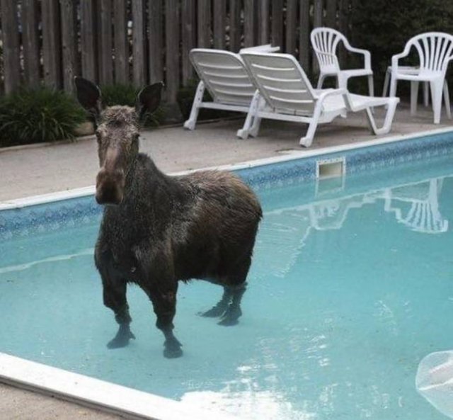 Acid Picdump. Part 1 (95 pics)